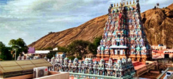 Tirupati - Madurai - Rameshwaram - Kanyakumari Tour Package