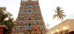 Spiritual and Religious Temple Tour Package of Tamilnadu