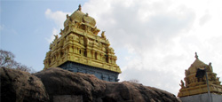 Kanchipuram - Chengalpattu Temple Tour Package