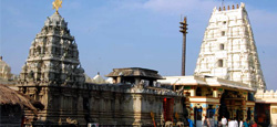 Vellore - Tirupati - Tirachanoor - Srikalahasti Tour Package