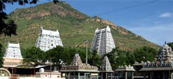 Tiruvannamalai   Srirangam   Rameshwaram   Kanyakumari   Madurai